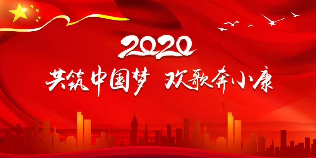 可爱小猫向上跳